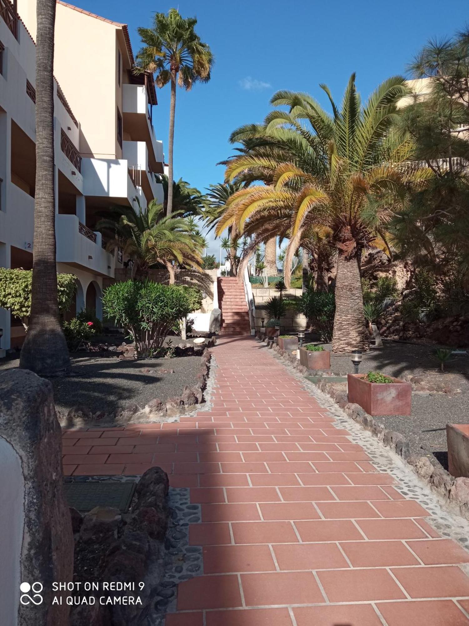 Las Meninas Tenerife サンミゲル・デ・アボナ 部屋 写真